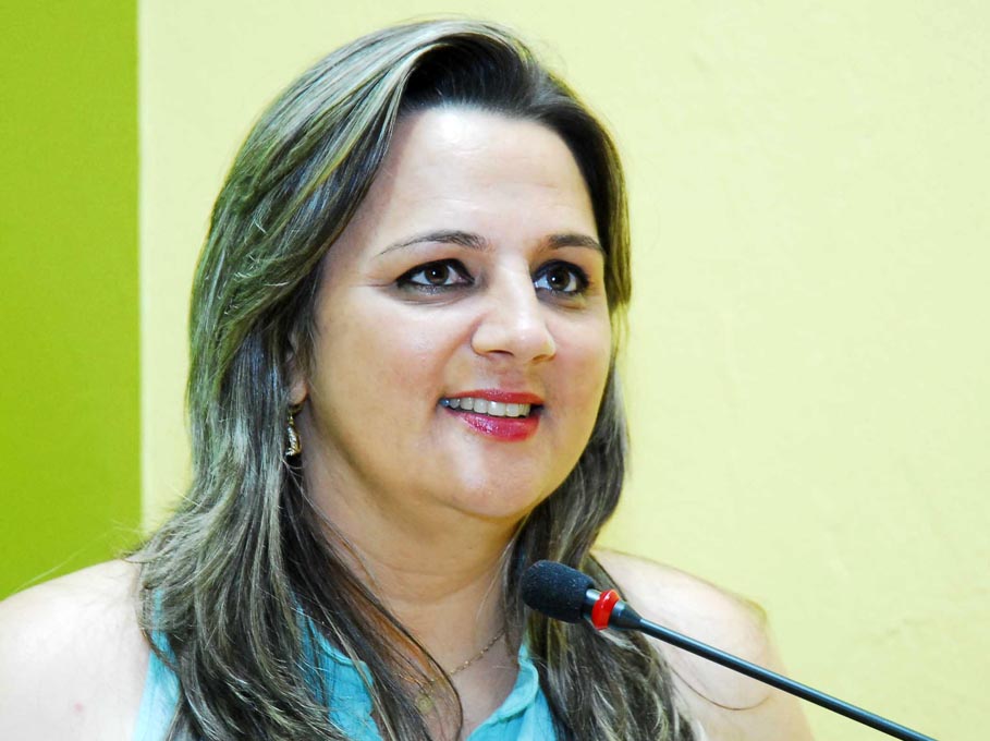 Projeto permite que idosos sejam vereadores em sessão especial no Legislativo