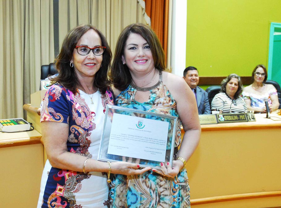  Dia Internacional da Mulher é comemorado durante solenidade no Legislativo de Santo Ângelo