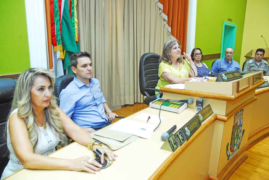Plano Municipal de Políticas Públicas para as Mulheres é aprovado durante audiência no Legislativo de Santo Ângelo  