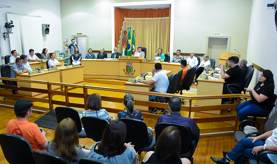 Sessão Especial entrega homenagens do Programa Selo Pela Vida