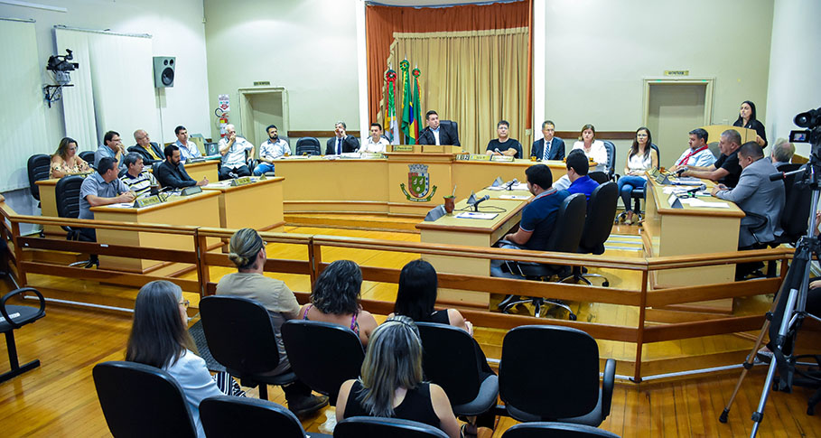 Secretaria Municipal de Cultura recebe homenagem da Câmara de Vereadores