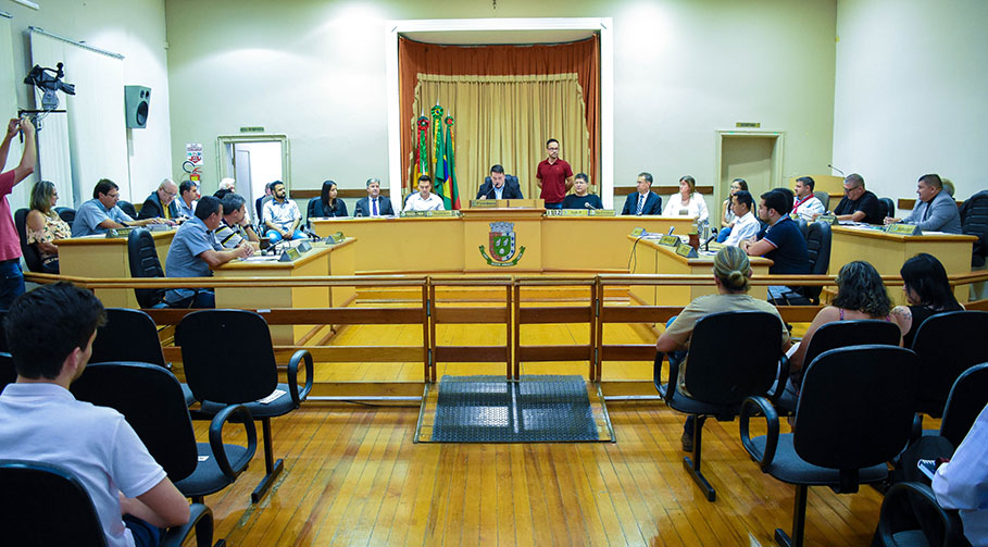 Secretaria Municipal de Cultura recebe homenagem da Câmara de Vereadores