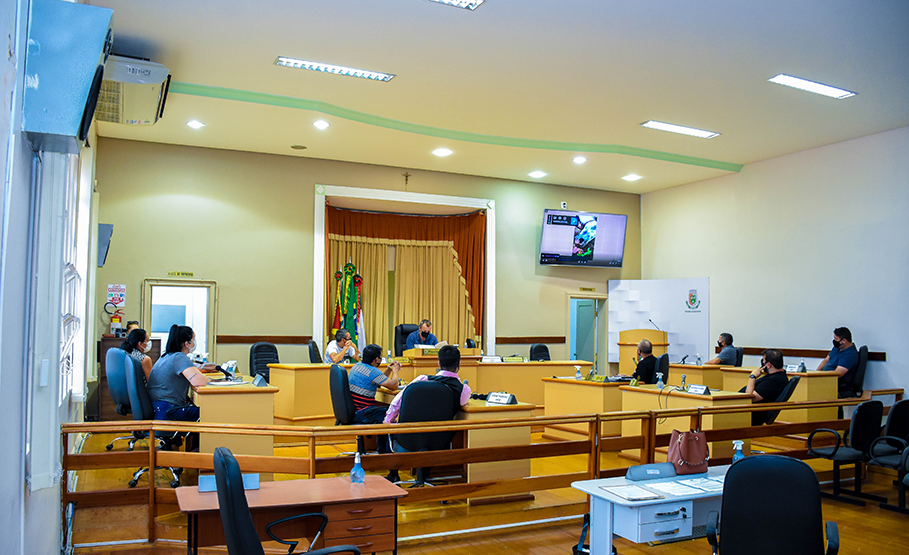 Vereadores recebem ONG Pé de Pano para discutir fim da tração animal