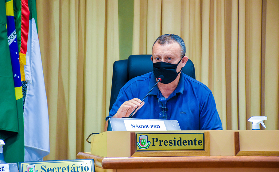 Vereadores recebem ONG Pé de Pano para discutir fim da tração animal