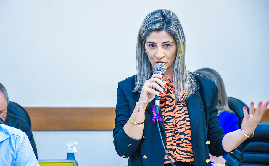 Reunião no Legislativo prevê medidas para desafogar atendimentos na UPA 