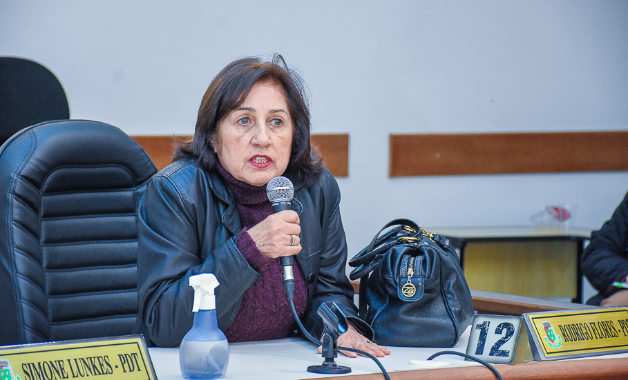  Legislativo realiza reunião para tratar da situação dos lares de idosos no Município