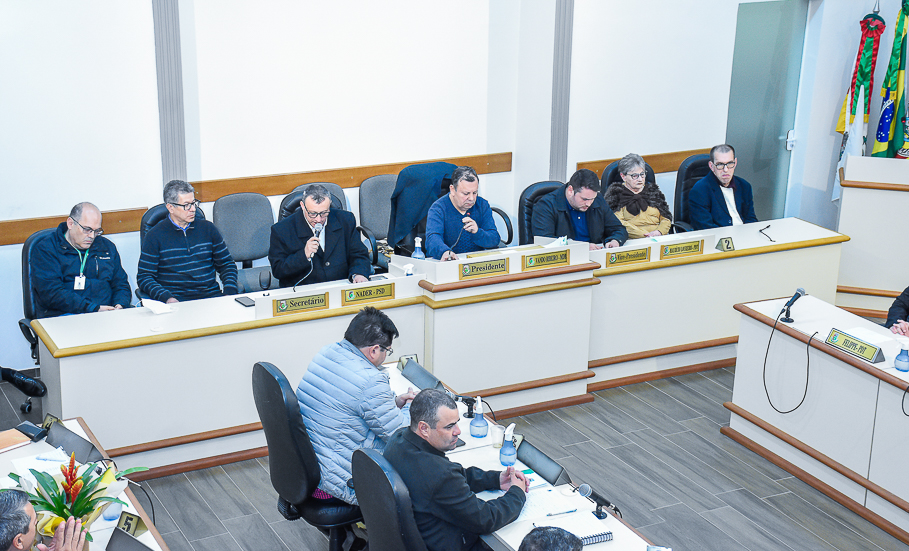 Legislativo concede a Janira do Couto Mânica a Ordem da Cruz Missioneira 