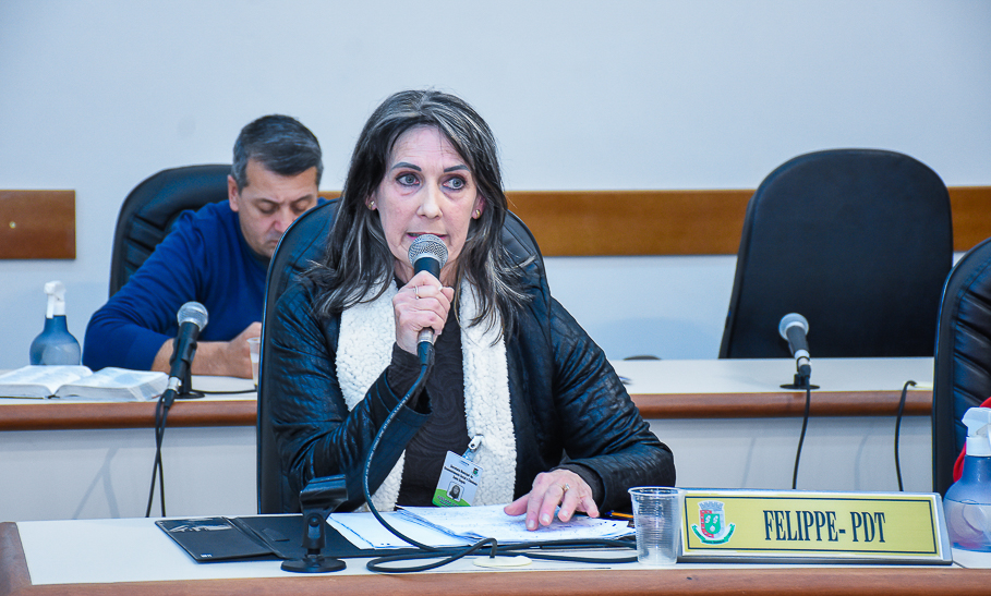 Legislativo realiza reunião para tratar da situação dos lares de idosos no Município