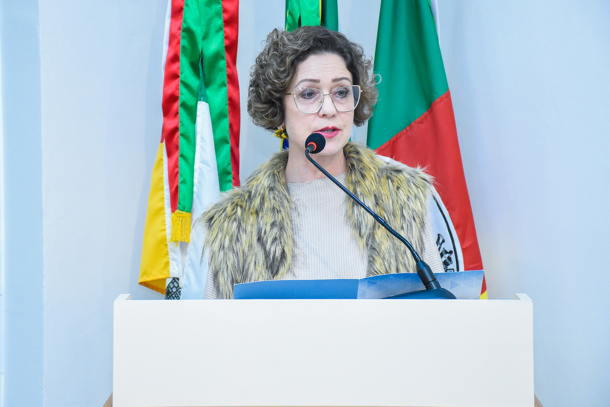 Legislativo homenageia Colégio Teresa Verzeri pela passagem de seus 90 anos