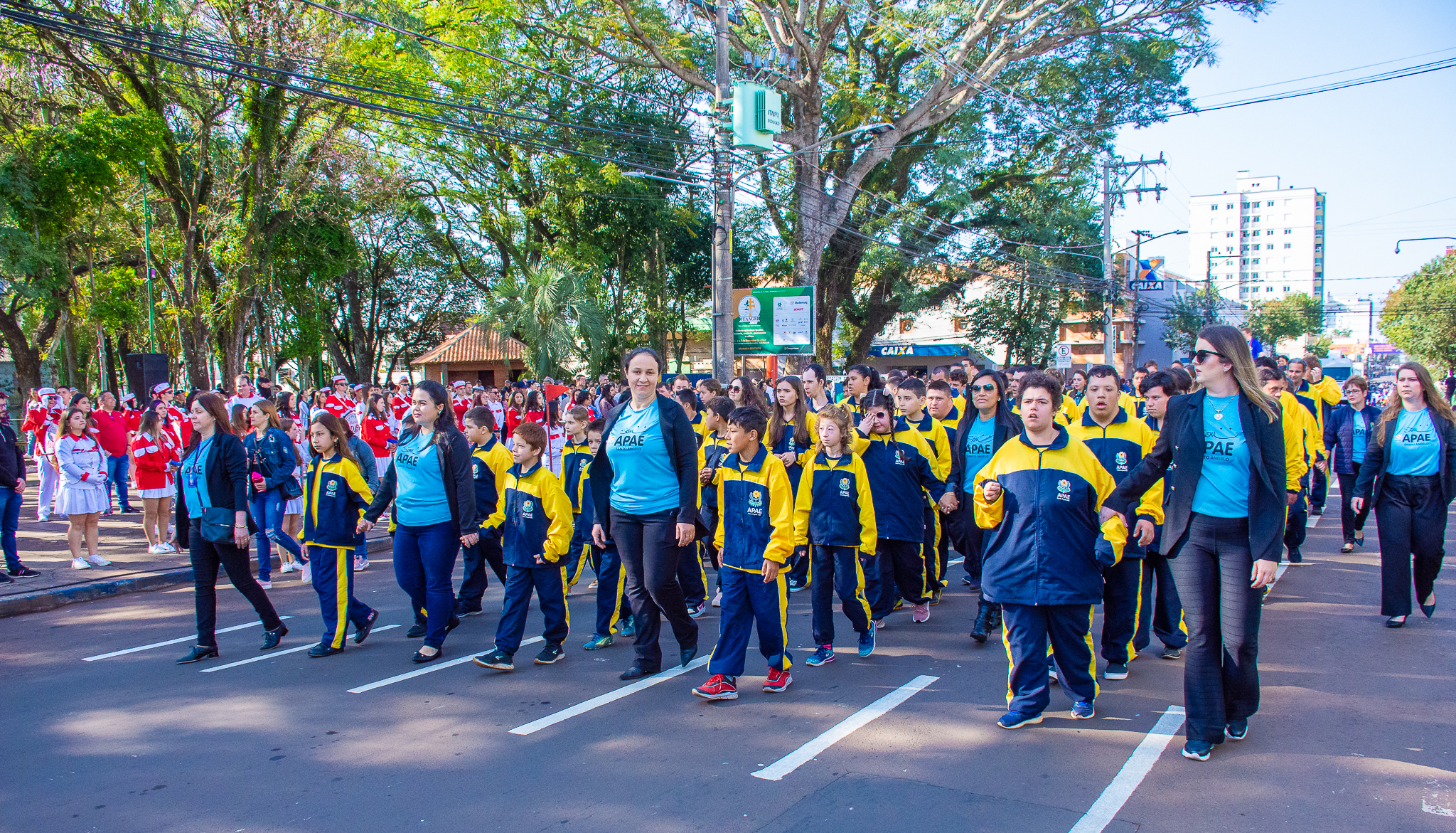 Legislativo prestigia desfile cívico celebrando os 200 anos da Independência do Brasil