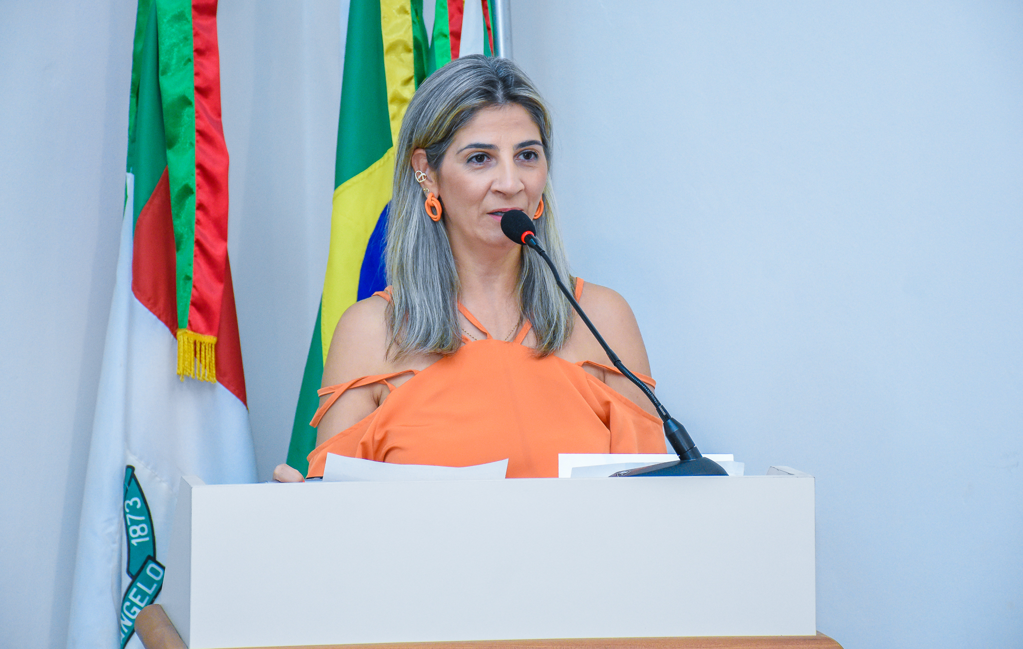 Confira as pautas discutidas nesta semana na Câmara Municipal de Vereadores de Santo Ângelo
