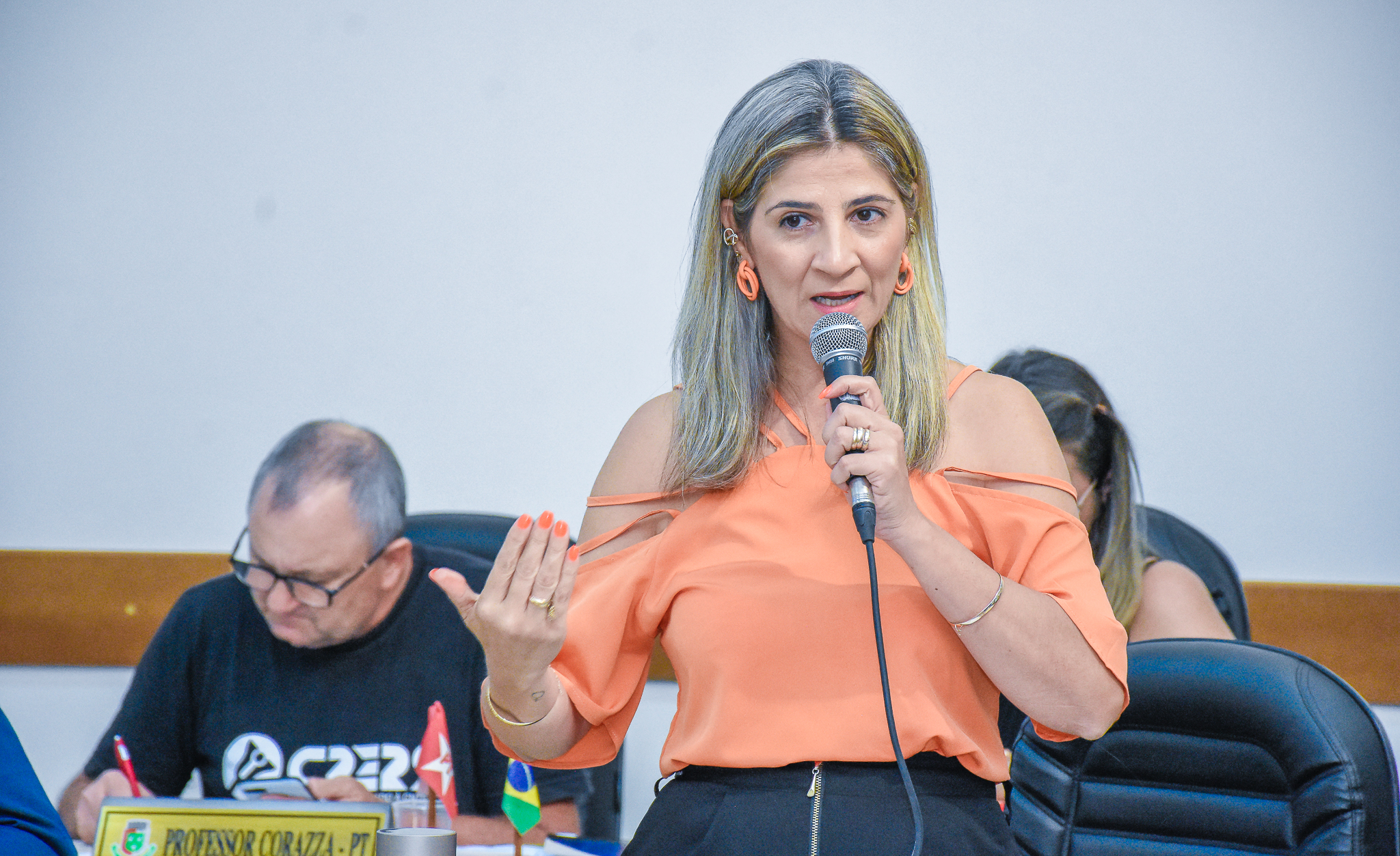Confira as pautas discutidas nesta semana na Câmara Municipal de Vereadores de Santo Ângelo