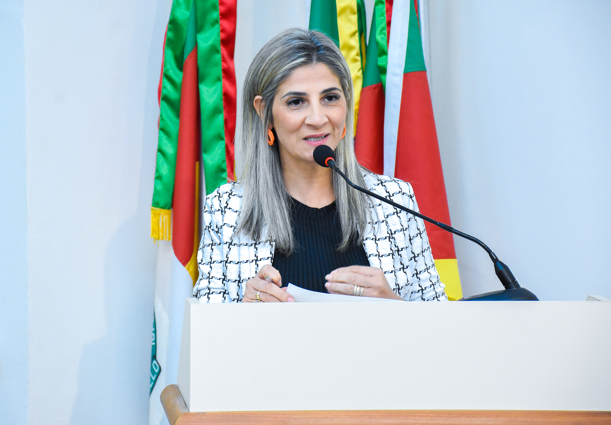   Confira as pautas deliberadas na Sessão Ordinária da última segunda-feira