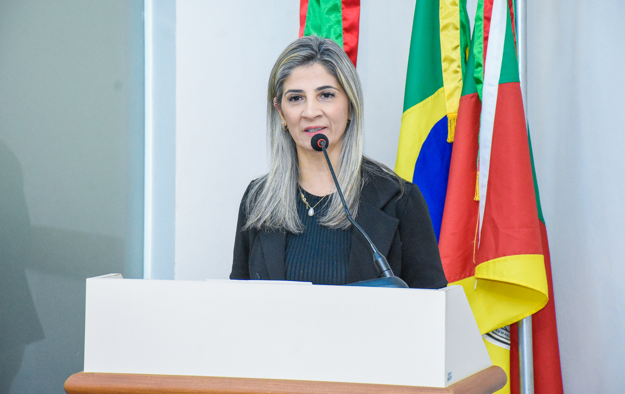 Confira tudo que foi discutido na Sessão Ordinária da última segunda-feira 