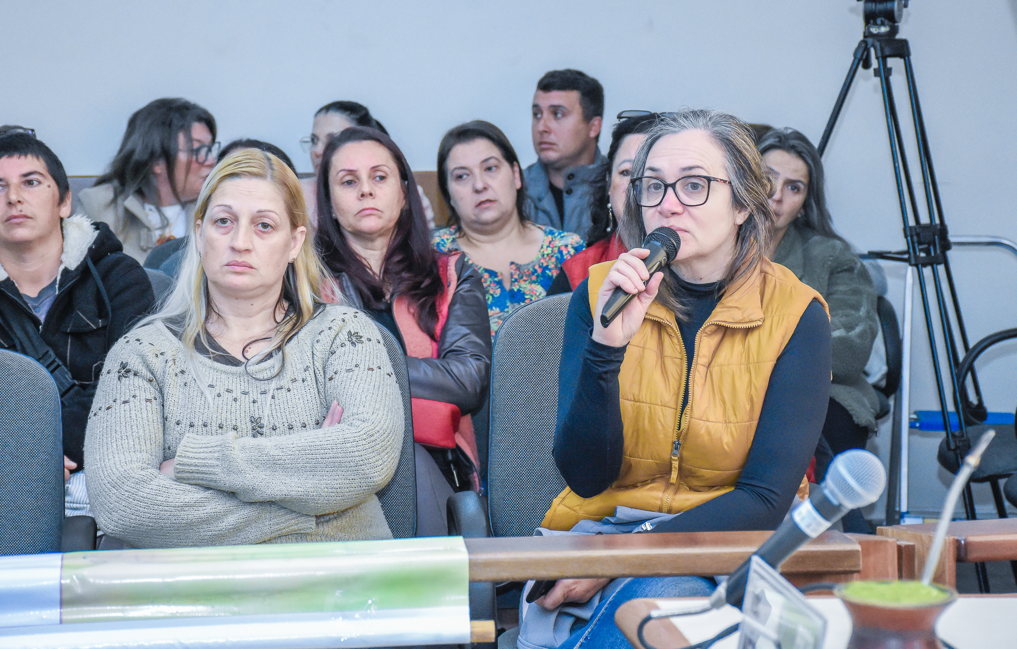 Câmara de Vereadores realizou audiência pública para debater assuntos referentes à causa animal