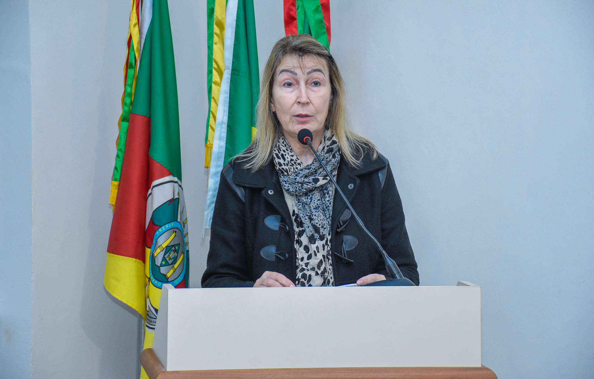 Confira as demandas discutidas e aprovadas na Sessão Ordinário da última segunda-feira