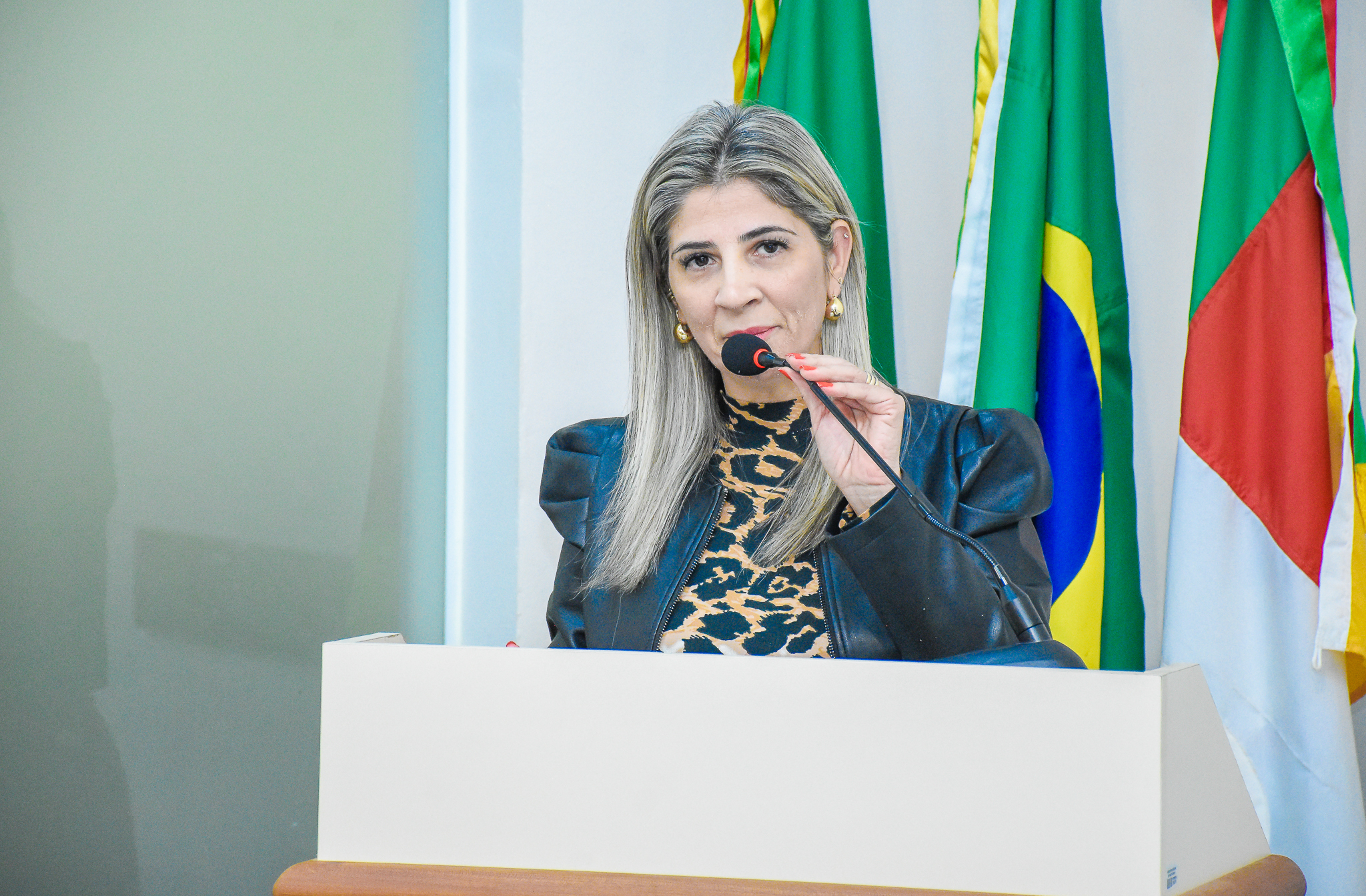 Confira as demandas debatidas na Sessão Ordinária da última segunda-feira