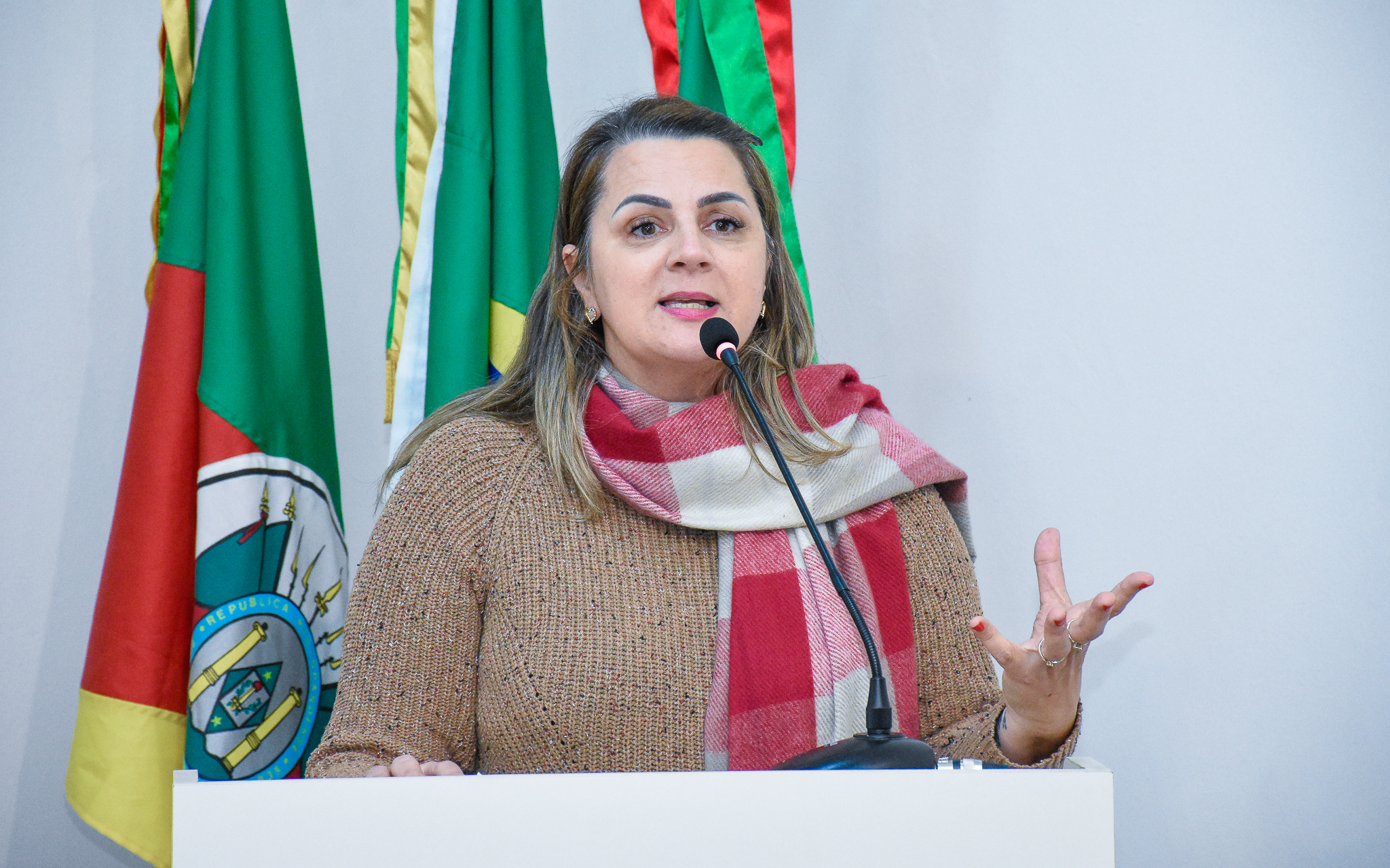Confira as moções requerimentos e pedidos de informação que estiveram em pauta na última segunda-feira