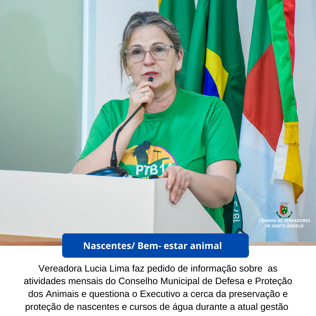 Saiba tudo sobre os pedidos de informação colocados em pauta na Sessão da última segunda-feira